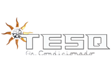 Criação de Logotipo da TESQ
